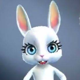 Zoobe Rabbit Memes