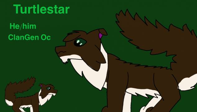 Turtlestar oc sheet on Sketchers United