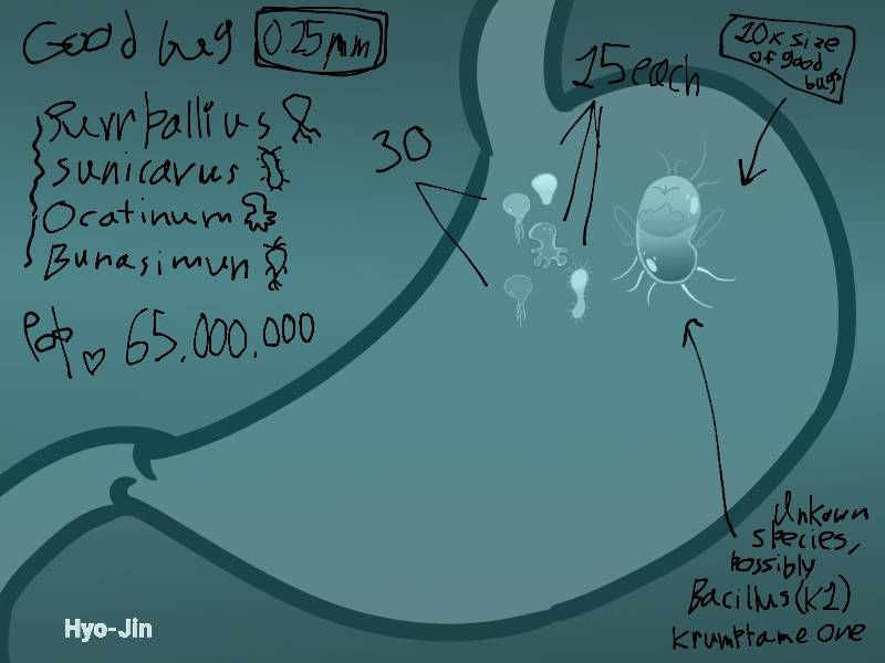 Stomach Bug - X-Ray picture by Odette_DC on Sketchers United