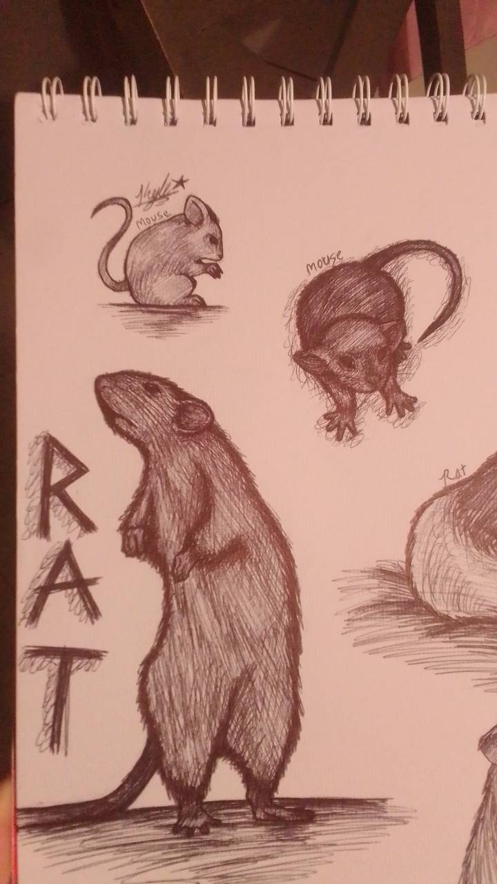 Rats🐀 by Ur_UncleKyl3 on Sketchers United