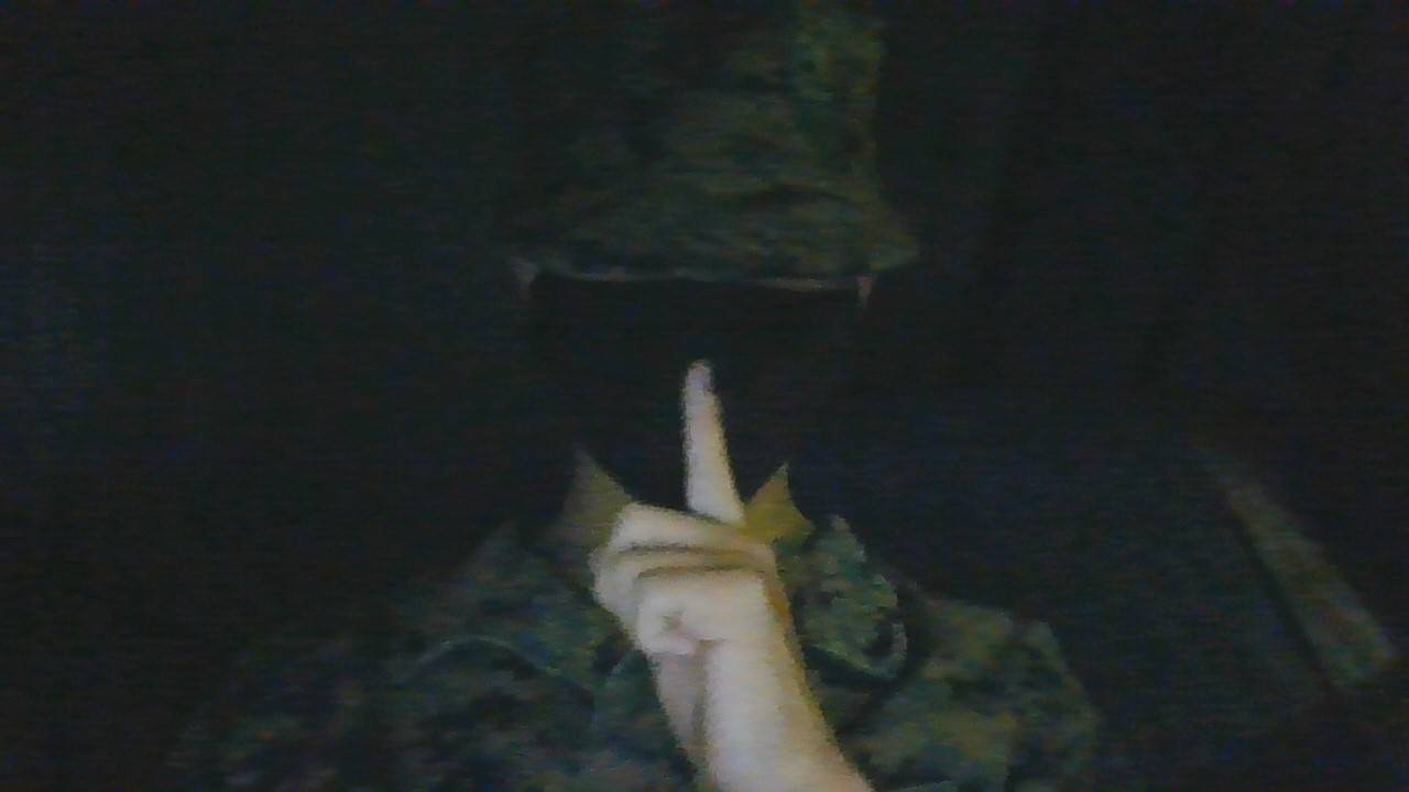 Love to serve my country by Zagesboy on Sketchers United