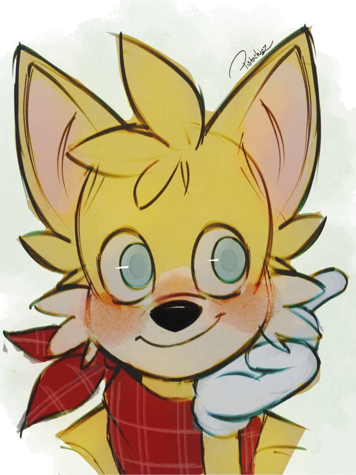 Tails!! by pistachiodoodlez on Sketchers United