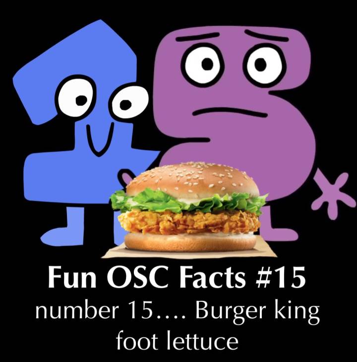 Burger King Foot Lettuce by Fourteenbfdi on Sketchers United