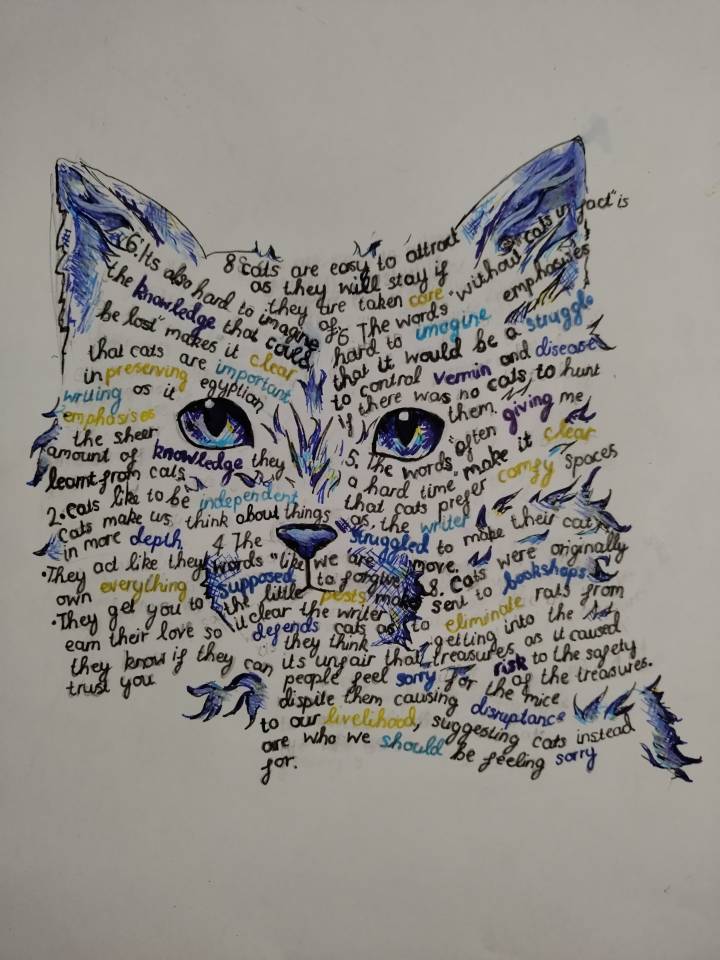 Study cat by PrismaticGlow on Sketchers United