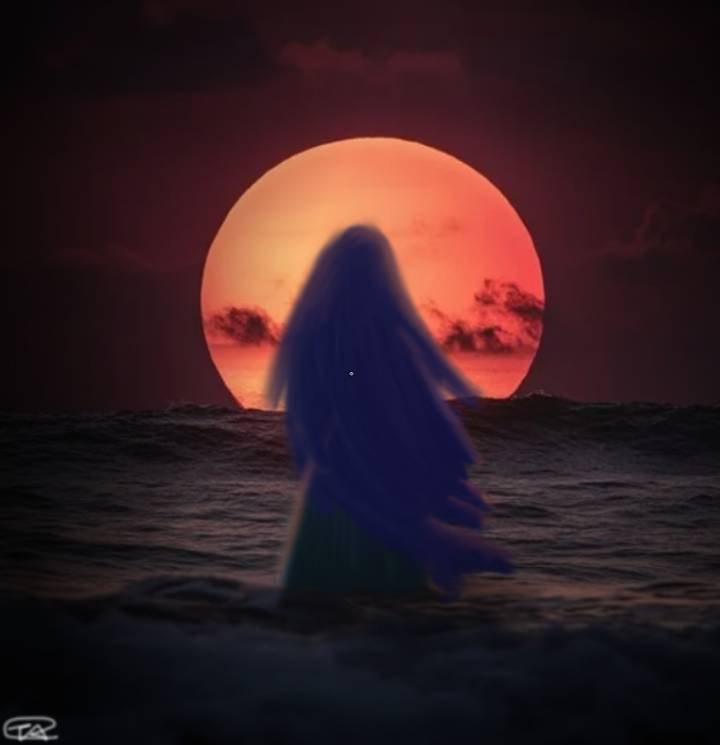Sunset by 1REDSTAR on Sketchers United