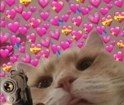 Neko Alien Nya On Sketchers United