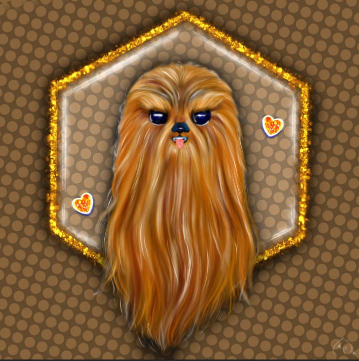 Baby Chewbacca Or Shih Tzu You Decide By Dee On Sketchers United